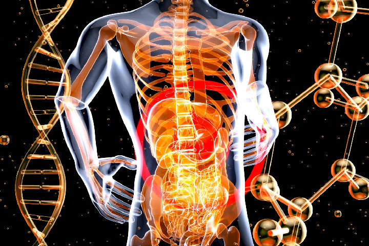 Vad är glutamin bra för?